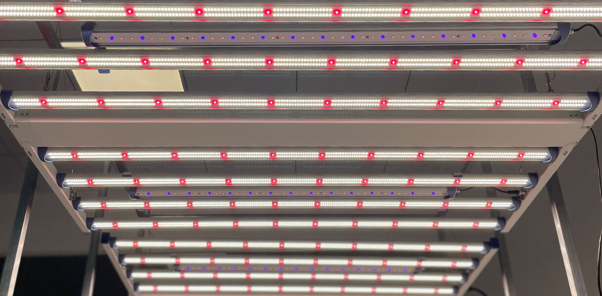 Spectrum Y diodes