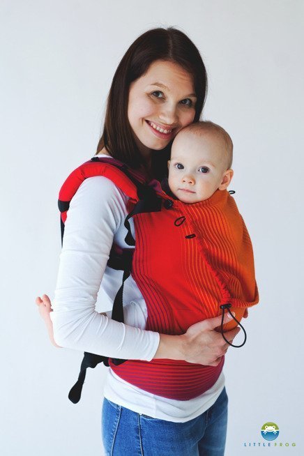 little frog baby carrier