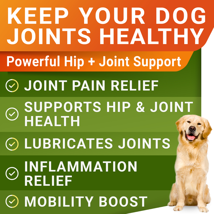 what can i give my dog for hip and joint pain