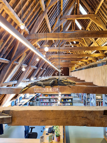 Nok van de vernieuwde bibliotheek in Mechelen met oude gewelven en balkenstructuur waar een houten krokodil op ligt