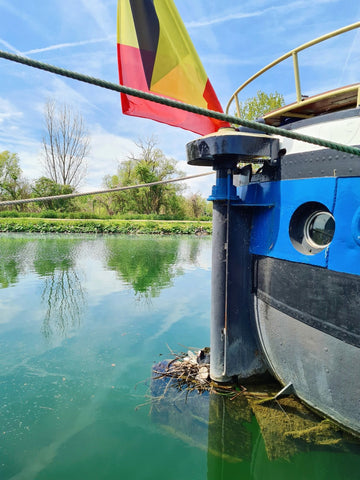 Uiteinde van een woonboot in Battel waar een waterkieken een nest aan het maken is