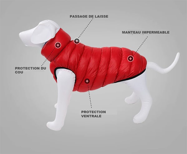 manteau chien boxer