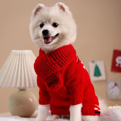 echarpe rouge en laine pour petit chien