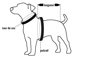comment mesurer son chien ou chat