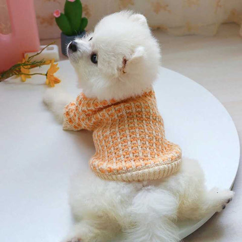 Pull d'hiver pour petit chien design en coton chaud et confortable