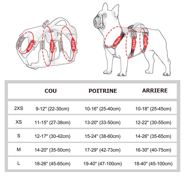 Tableau des tailles