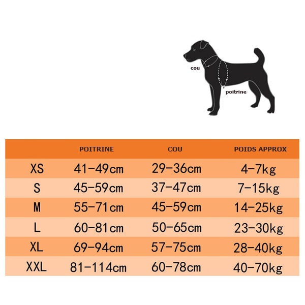 Tableau des tailles du harnais pour jack russel