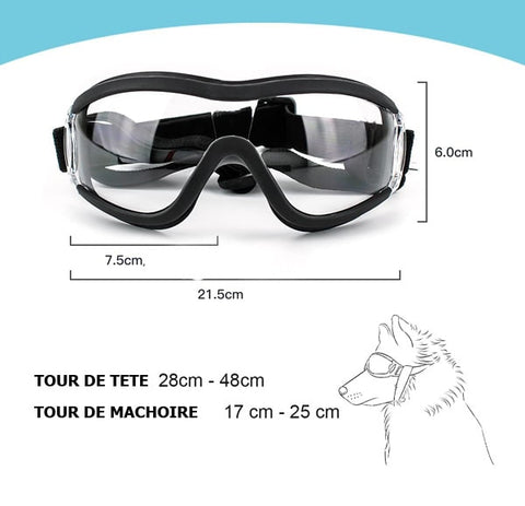 Dimensions des lunettes canines