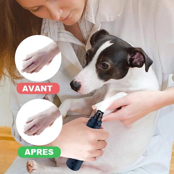 Coupe ongle pour chien