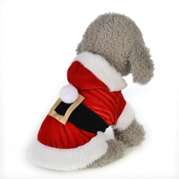 image d'un petit chien portant ce costume de noël