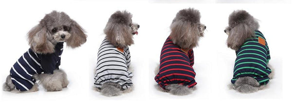 image du pyjama à rayure porté par des petits chiens