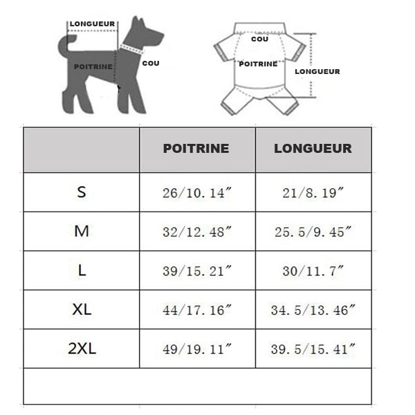 tableau des tailles du tee shirt pour chiens coloré