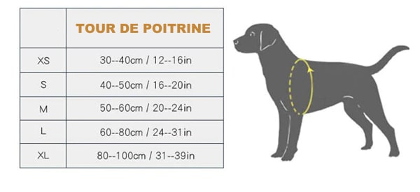 tableau des tailles du harnais canicross TRUELOVE