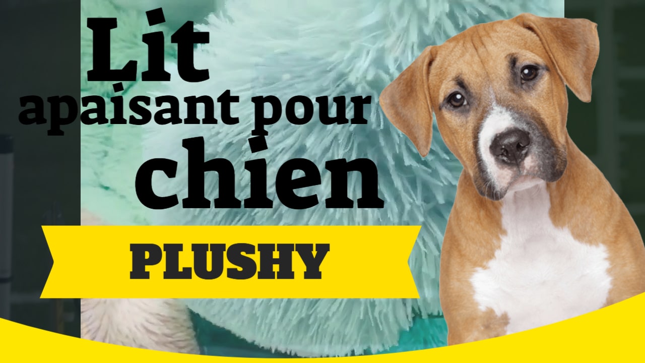 Lit apaisant et relaxant PLUSHY pour chien