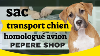 Sac de transport pour chien ou achat homologué cabine d'avion