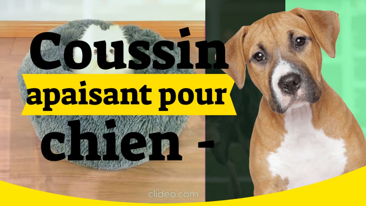 coussin pour chien ou chat apaisant, relaxant et anti-stress