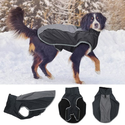 Manteau pour chien carlin imperméable et coupe vent