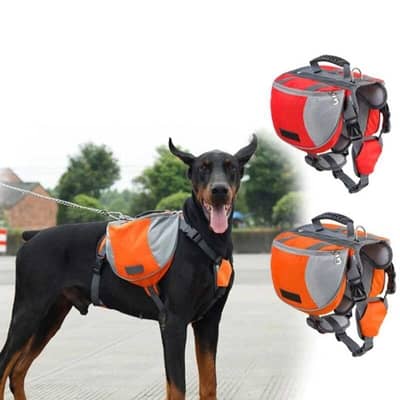 Harnais pour randonnée avec sac à dos pour chien