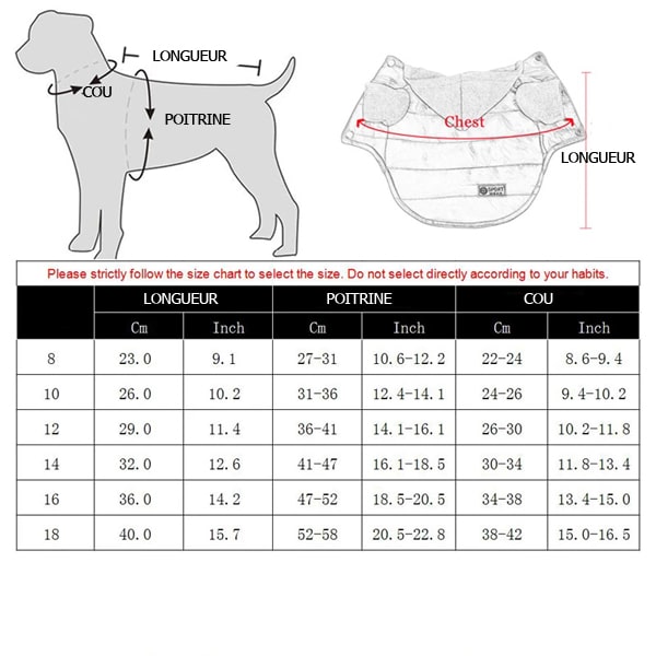 guide des tailles