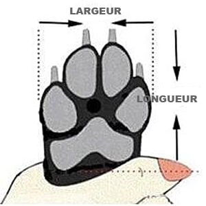 guide des tailles des chaussures montantes d'hiver pour chien