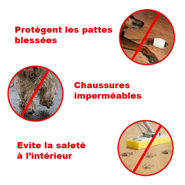 points forts des chaussures pilo pour chiens