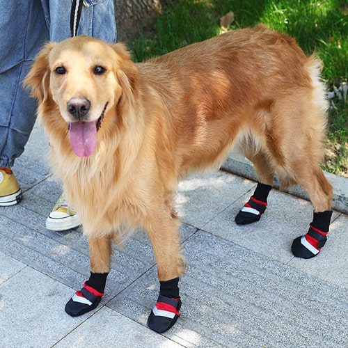 chaussons pour chiots