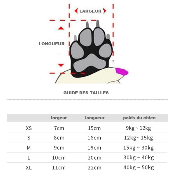 guide des tailles