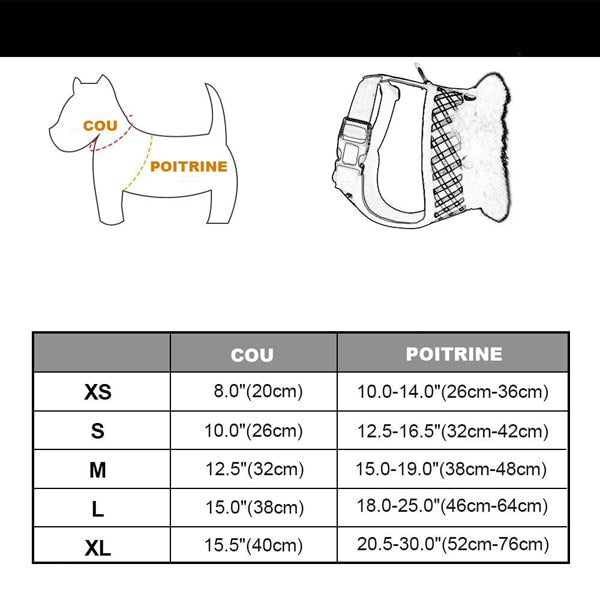 tableau des tailles du harnais XS avec col en fourrure