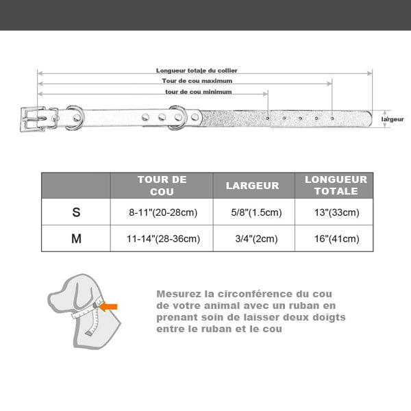 Tableau des tailles du collier cuir pour petit chien et chiot