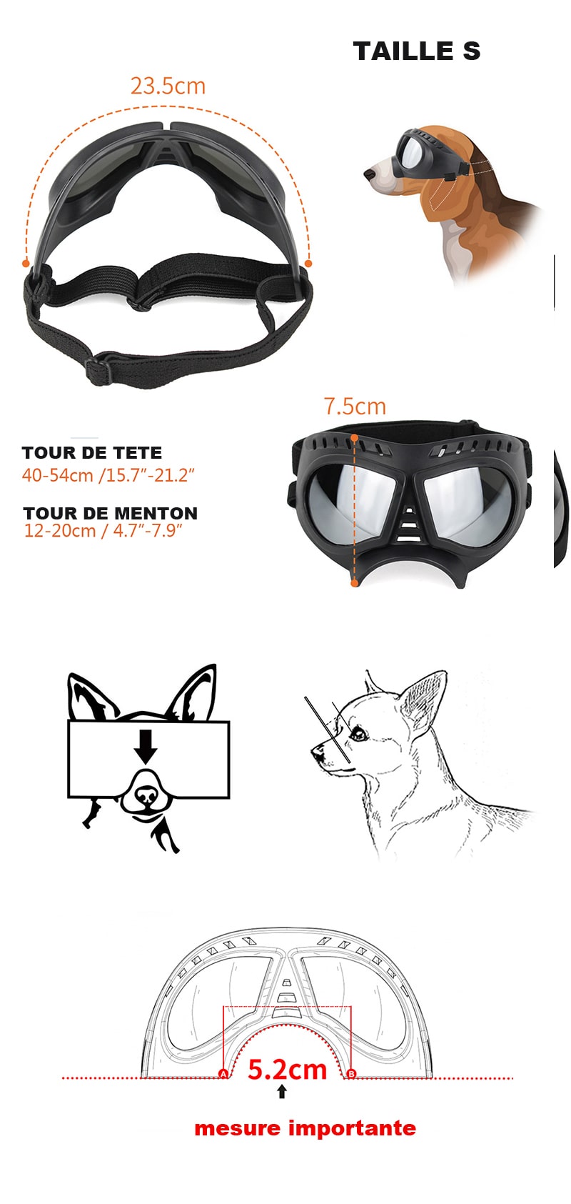 lunettes moto pour chien taille S