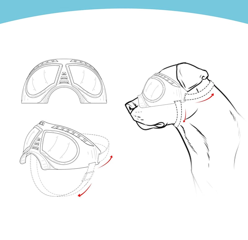 doggles moto pour chiens