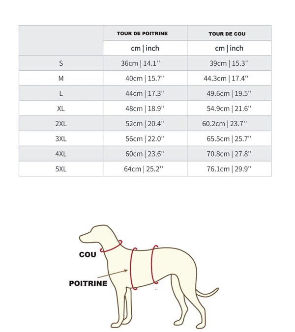 les tailles du manteau pour lévrier whippet ou italien