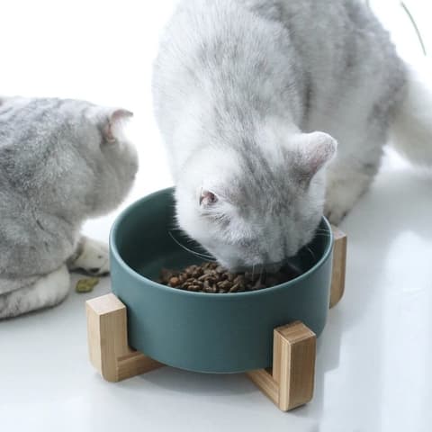 gamelle en céramique pour chien ou chat