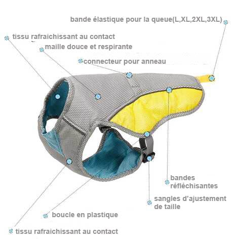 gilet d'été pour chien