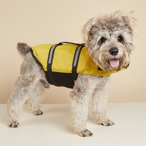 gilet de sauvetage pour chien