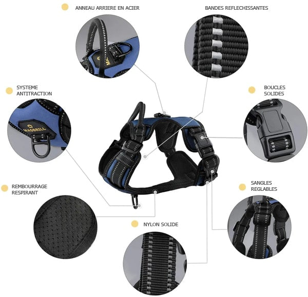 Détails en images du harnais nylon ajustable