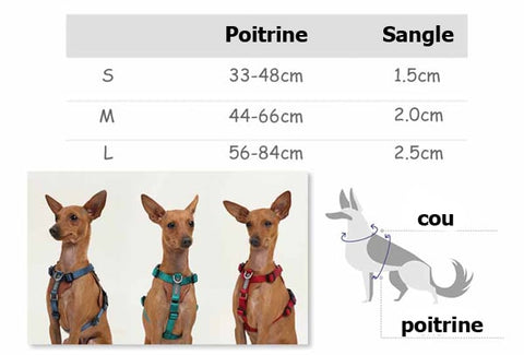 Dimensions du harnais réglable en cuir pour chien