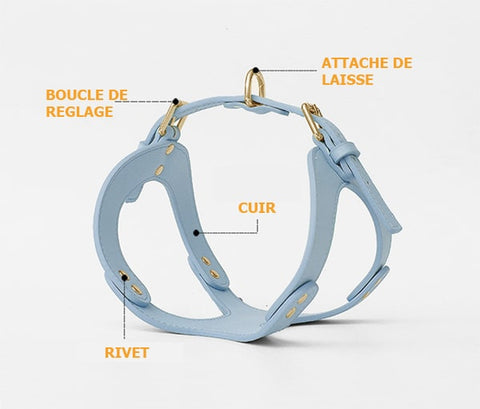 Détail du harnais en cuir pour petit chien