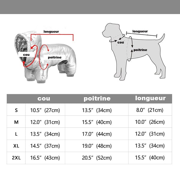 tableau des tailles vêtement d'hiver pour chiens