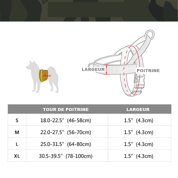 tableau des tailles du harnais nylon réfléchissant