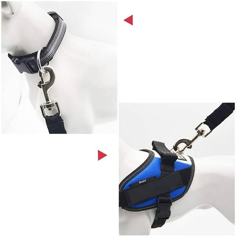 La laisse de sécurité peut se connecter à un harnais ou à un collier
