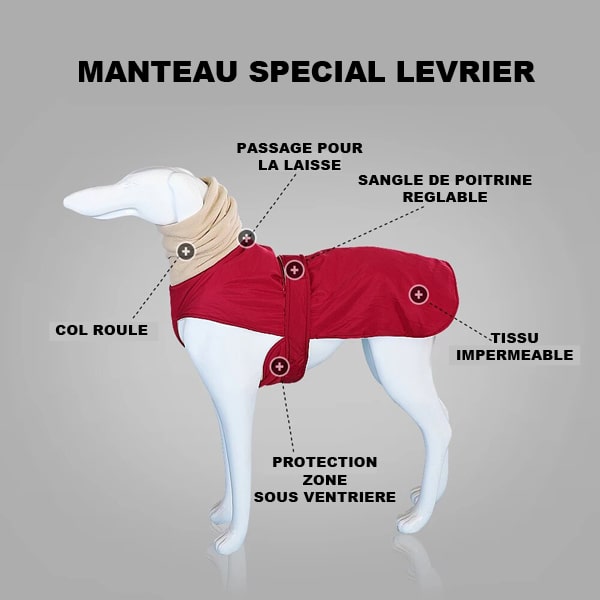 Informations clés sur le manteau spécial lévrier