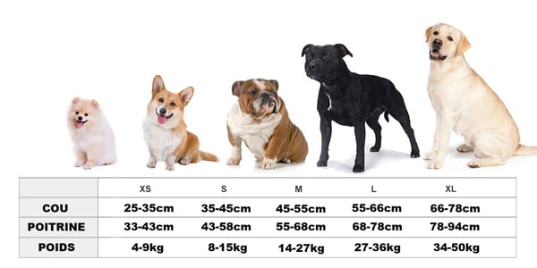 tableau des tailles du gilet anti stress pour chien