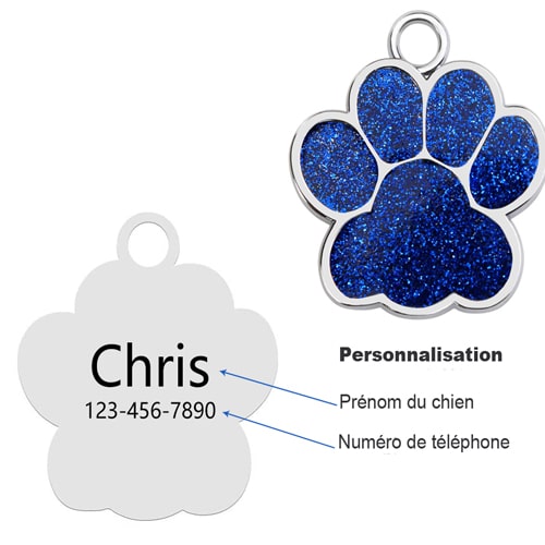 image personnalisation de la médaille gravée pour chien