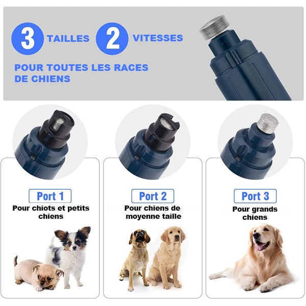 adapté aux petits ou gros chiens