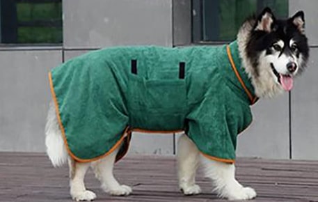 image du peignoir de bain pour chien porté par un husky