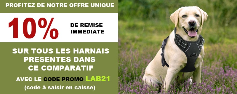 TOP 3 : Meilleur Harnais pour Chien 2020 