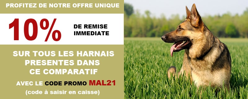 offre promo harnais malinois