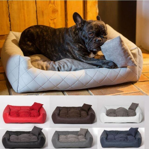 panier grande taille pour chiens