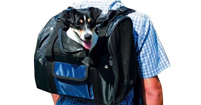 Sac à dos pour chien de 8kgs